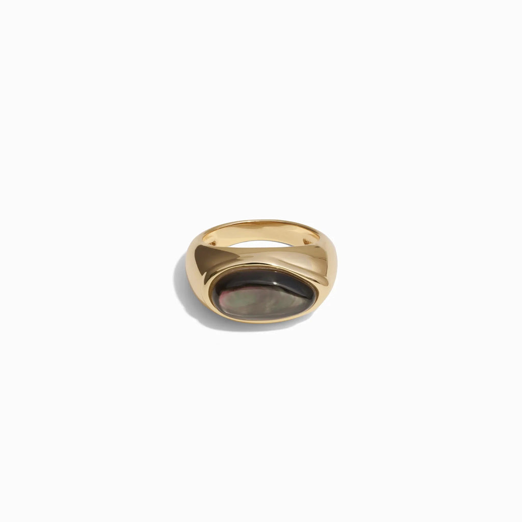 Gemstone Signet Ring - Paranoid Ranch