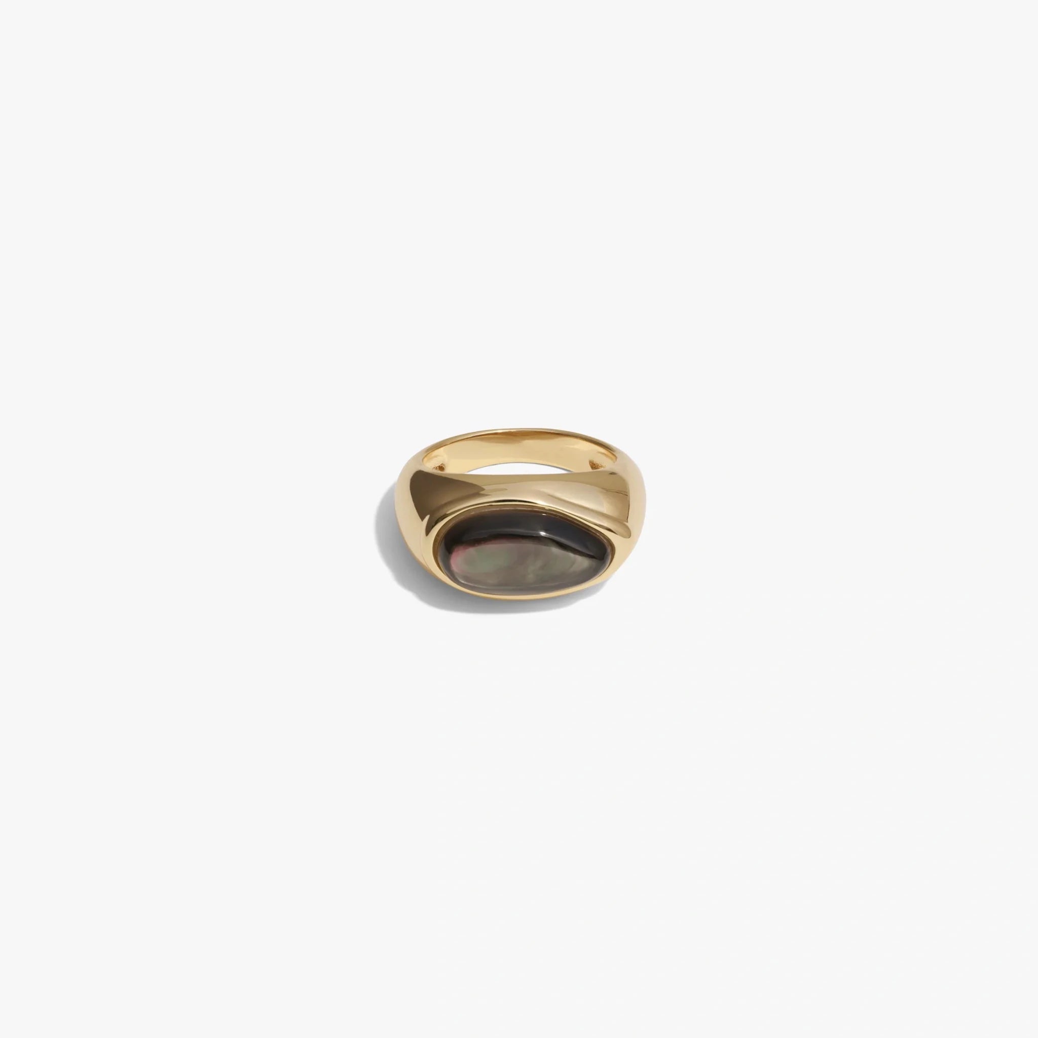 Gemstone Signet Ring - Paranoid Ranch