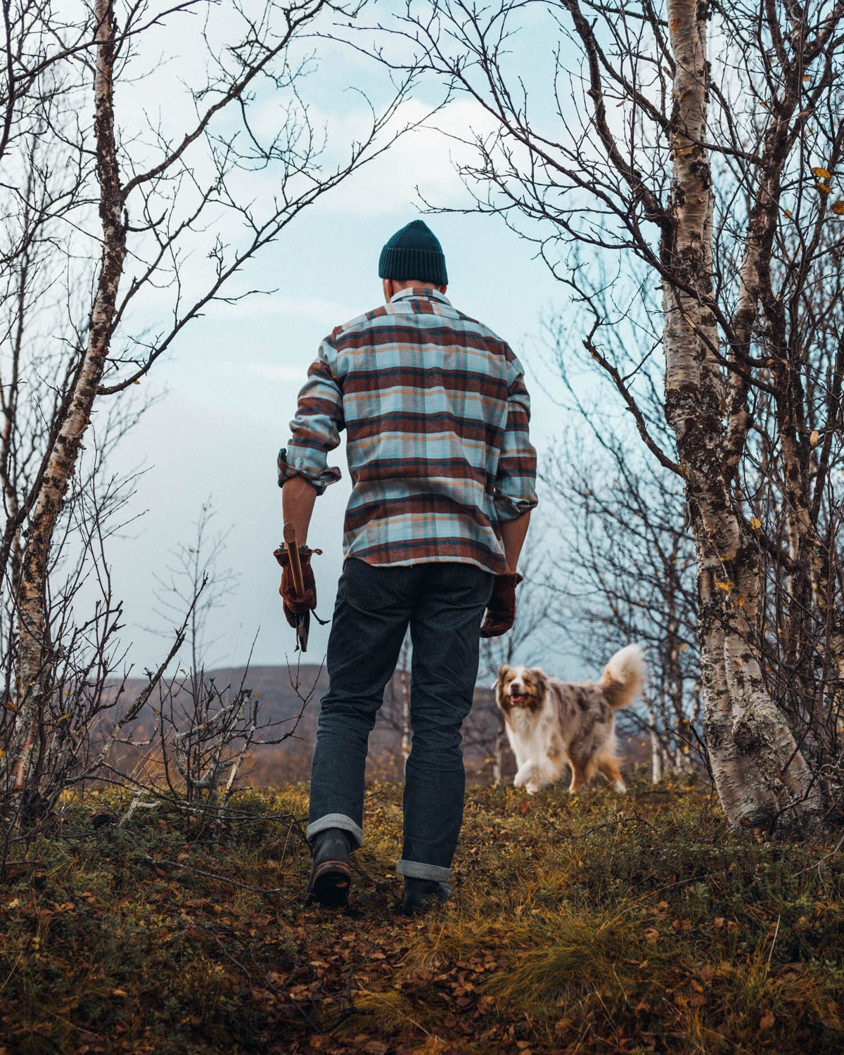 Grand Flannel, Cinnamon - Paranoid Ranch