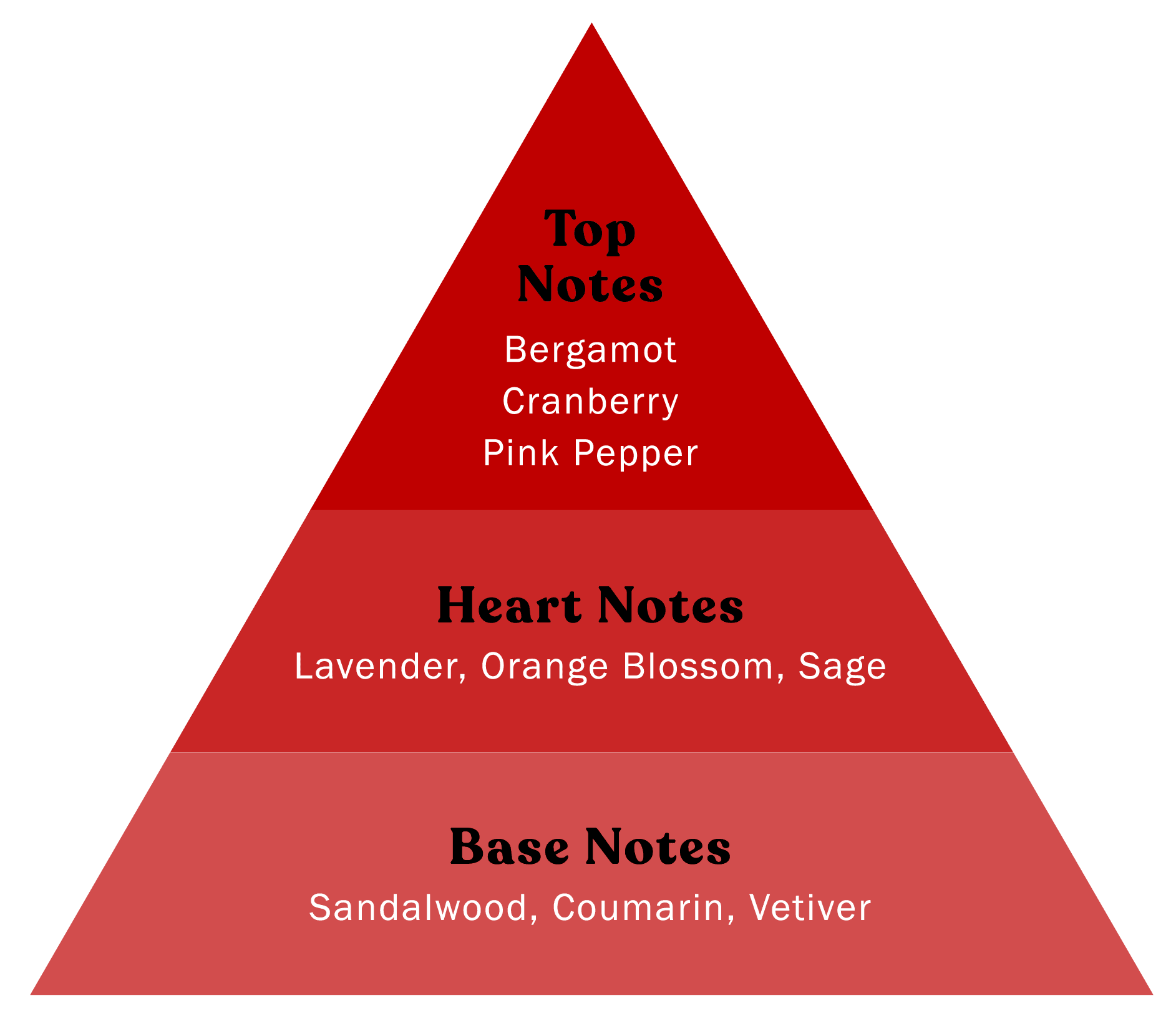 Grooming Lounge Handsome Devil EDT - Paranoid Ranch