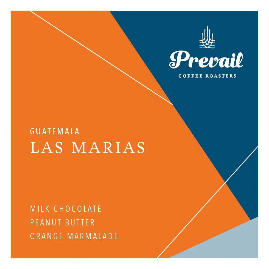 Guatemala | Las Marias - Paranoid Ranch