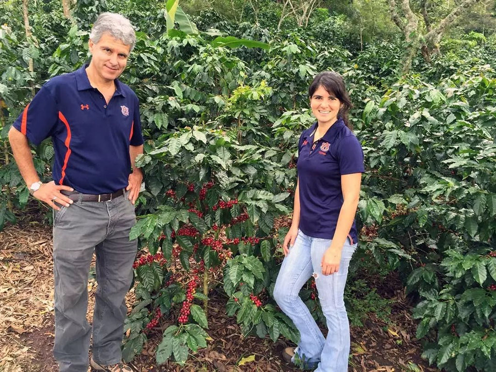 Guatemala | Las Marias - Paranoid Ranch