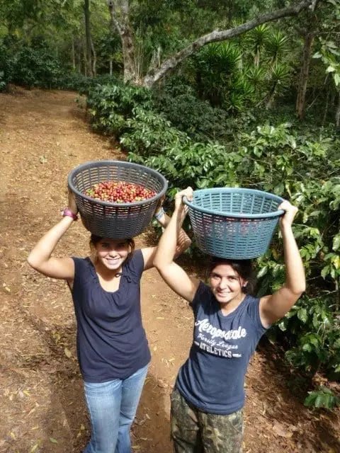 Guatemala | Las Marias - Paranoid Ranch