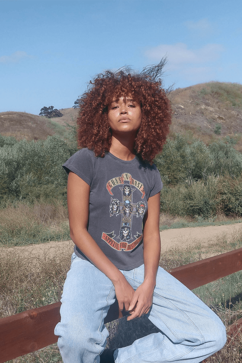 Guns N Roses Appetite For Destruction Shrunken Tee - Paranoid Ranch