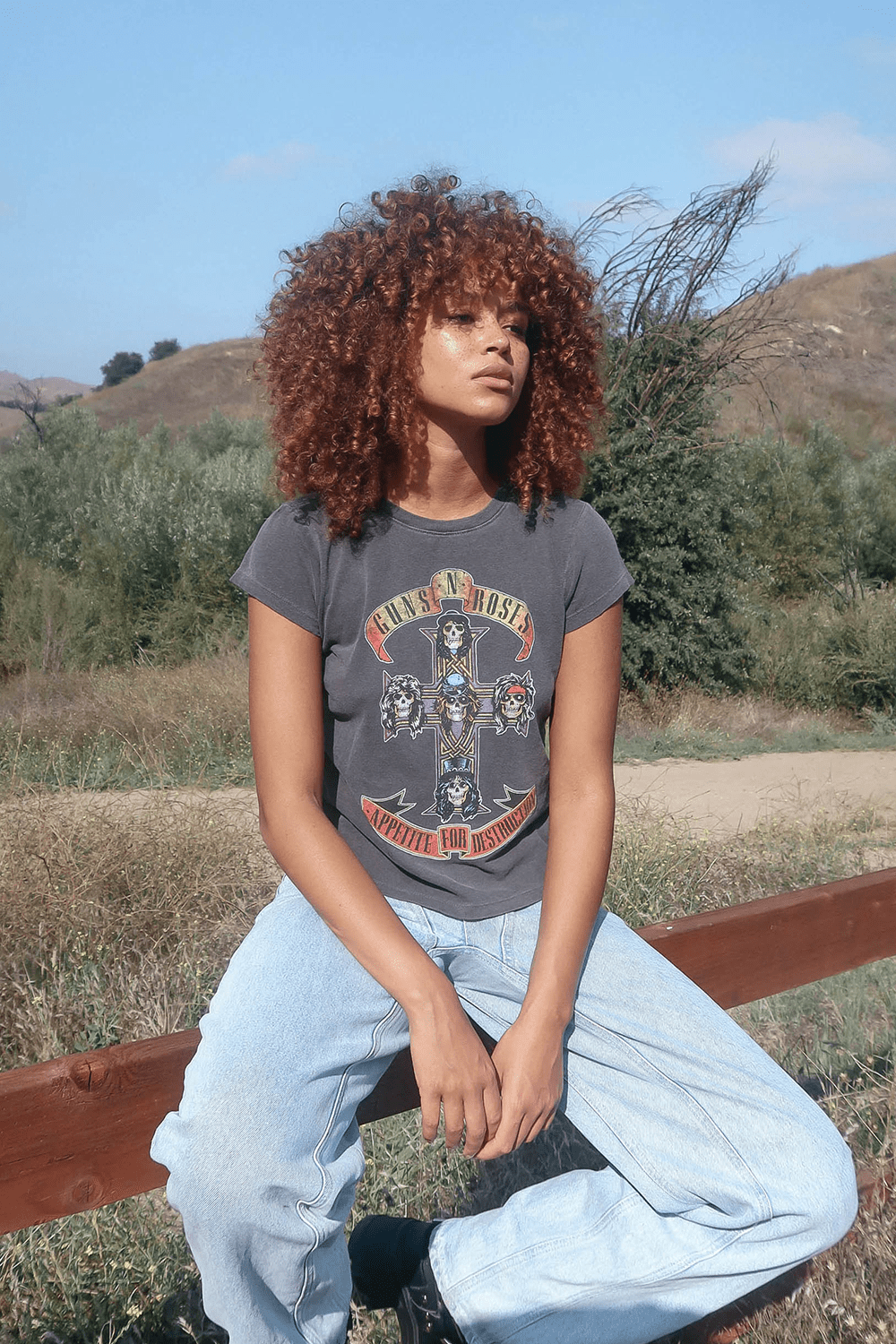 Guns N Roses Appetite For Destruction Shrunken Tee - Paranoid Ranch