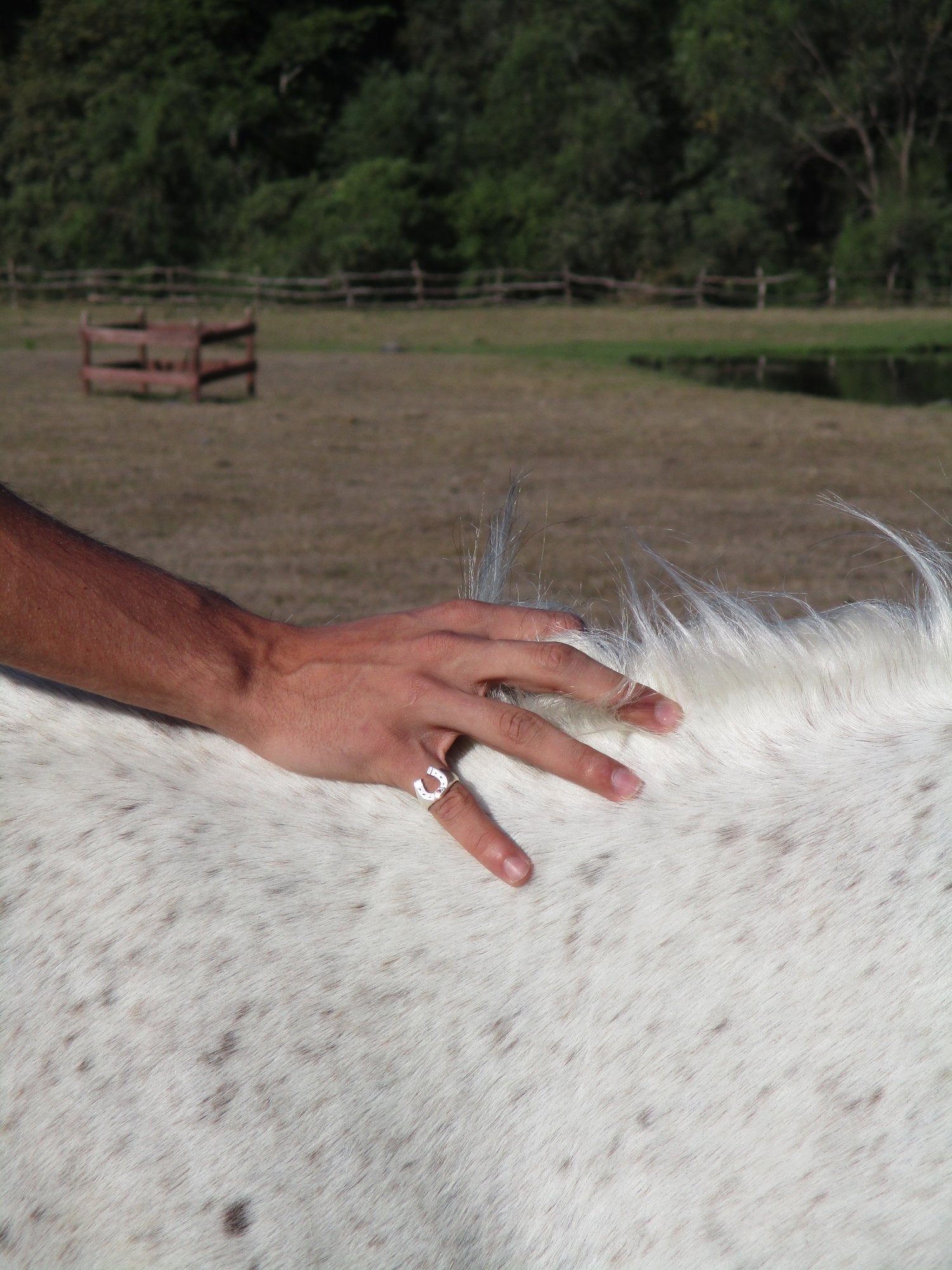 Herradura Heavy Ring - Paranoid Ranch