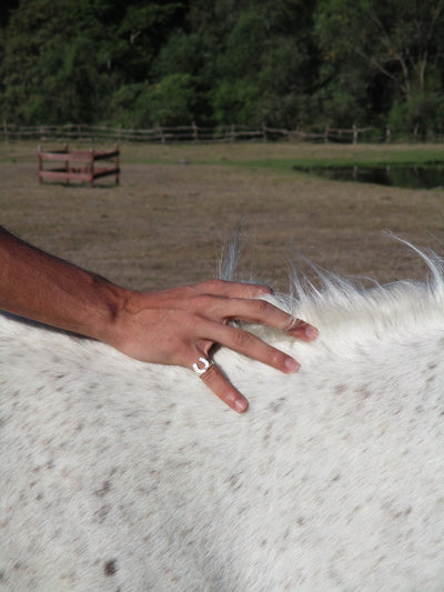 Herradura Heavy Ring - Paranoid Ranch