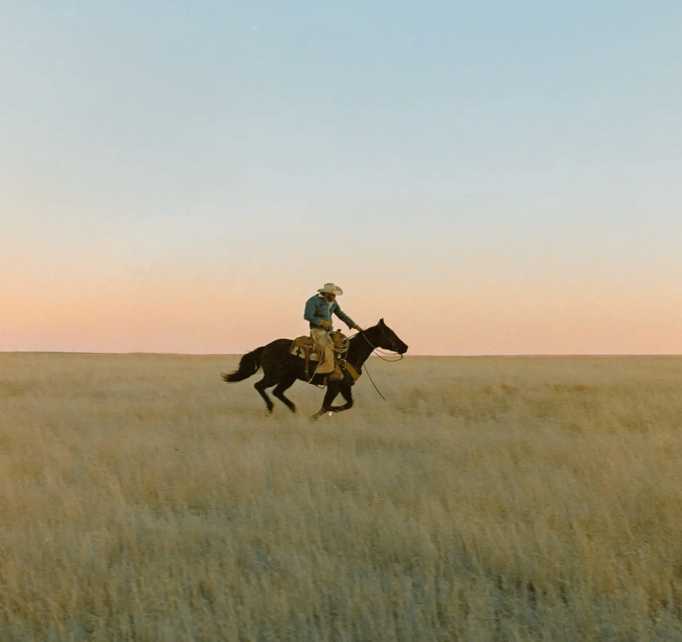 High Horse Candle - Paranoid Ranch