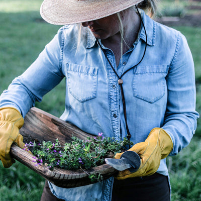 Hori Hori Ultimate - Paranoid Ranch