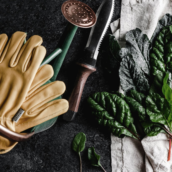 Hori Hori Ultimate - Paranoid Ranch