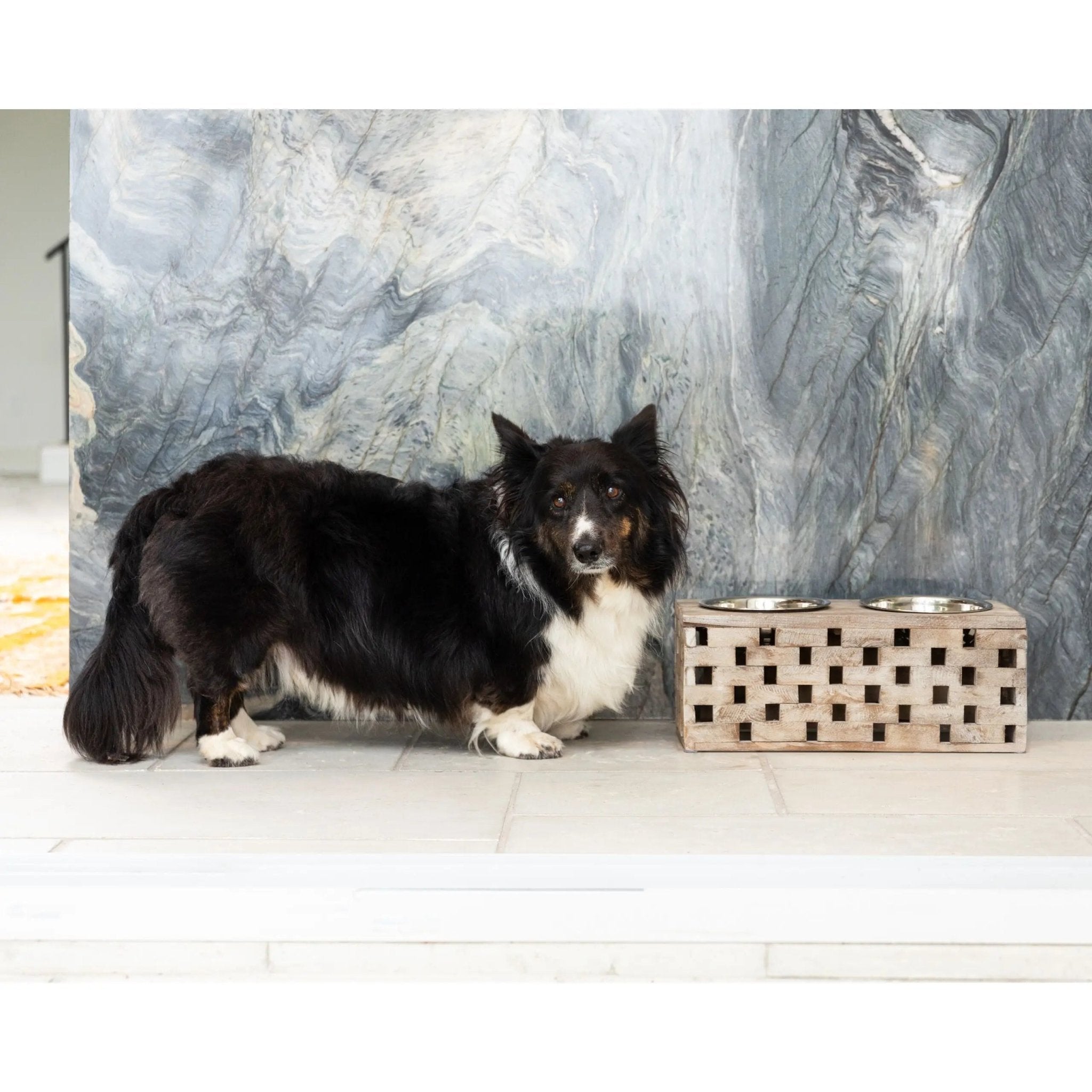 Huntley Pet Elevated Dog and Cat Double Bowl Feeder - Paranoid Ranch
