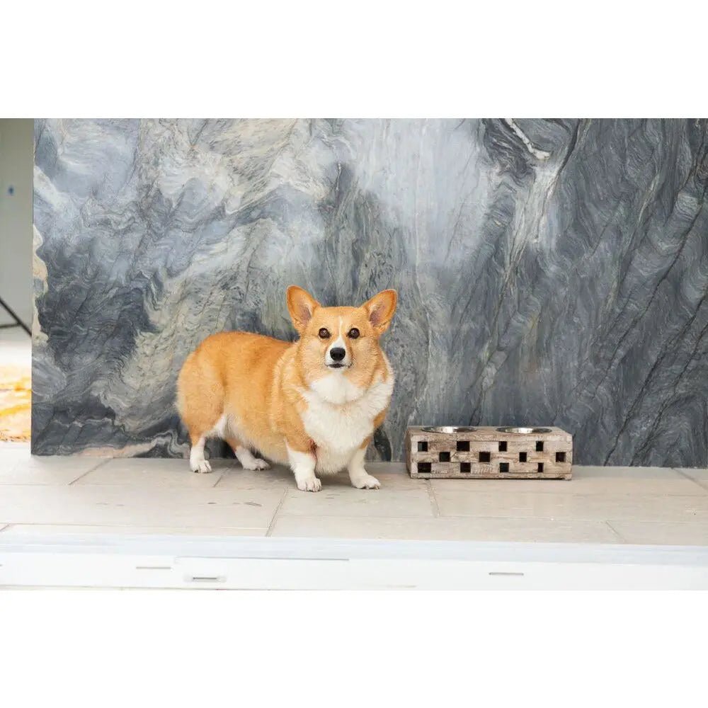 Huntley Pet Elevated Dog and Cat Double Bowl Feeder - Paranoid Ranch