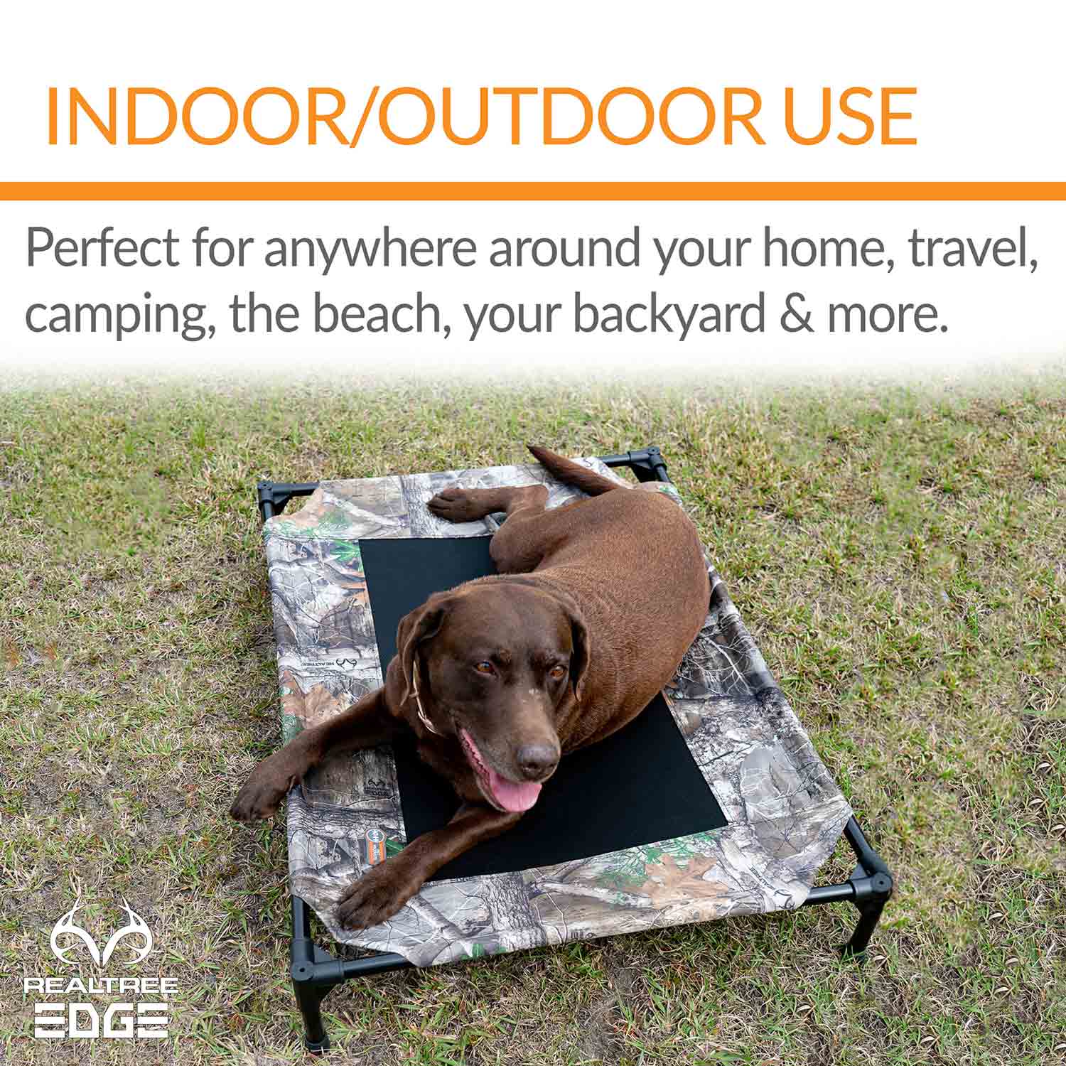 K&H Pet Products Original Pet Cot Elevated Dog Bed, Realtree Edge - Paranoid Ranch