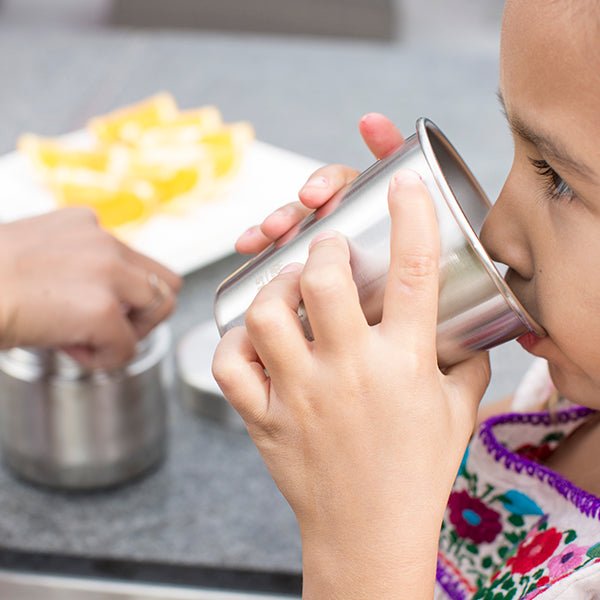 Klean Kanteen 10oz Cup - 4 Pack - Paranoid Ranch