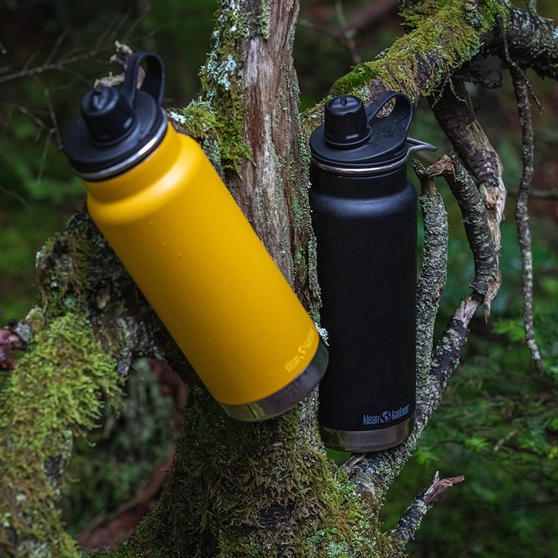Klean Kanteen 32oz TKWide with Chug Cap - Paranoid Ranch
