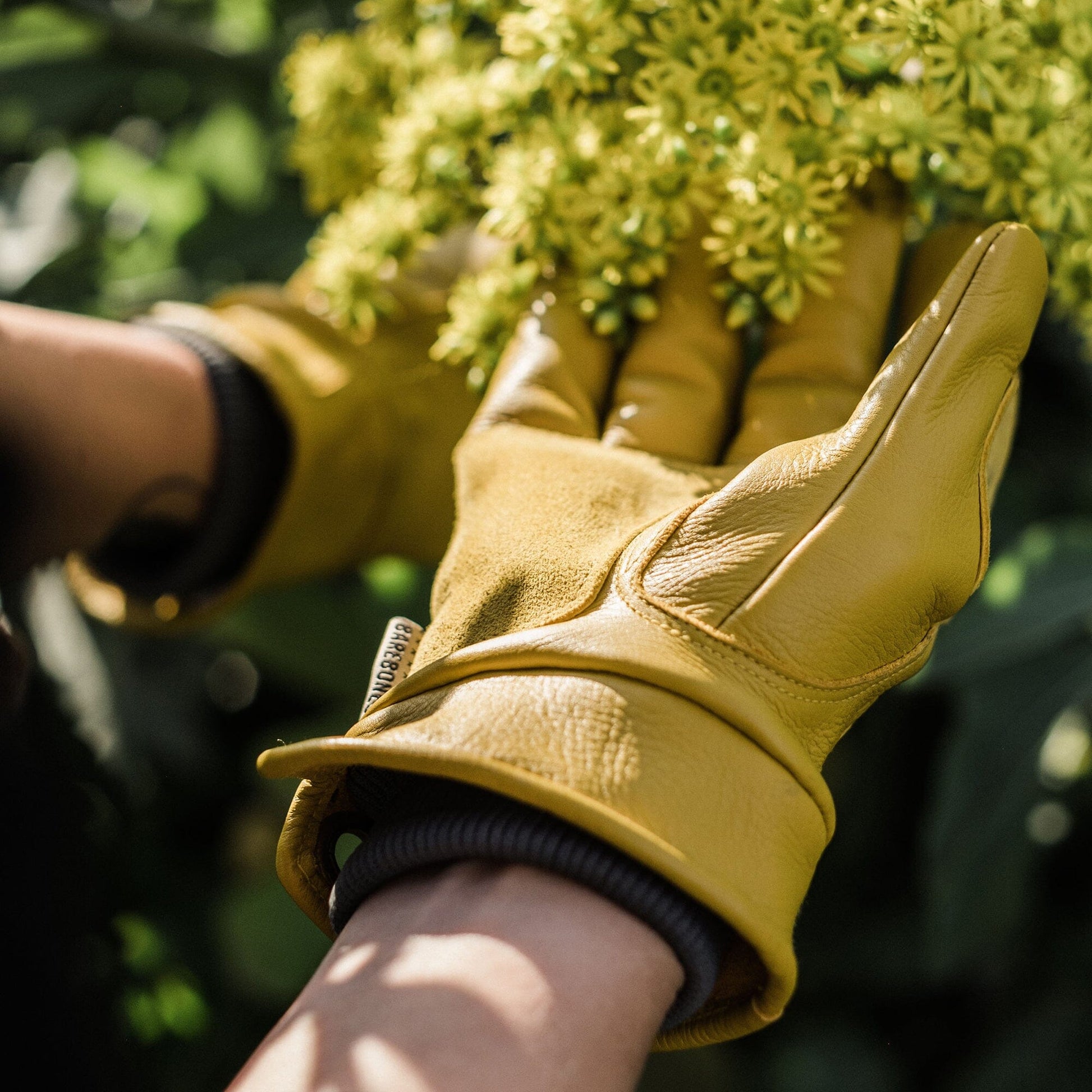 Kunar Utility Glove - Paranoid Ranch