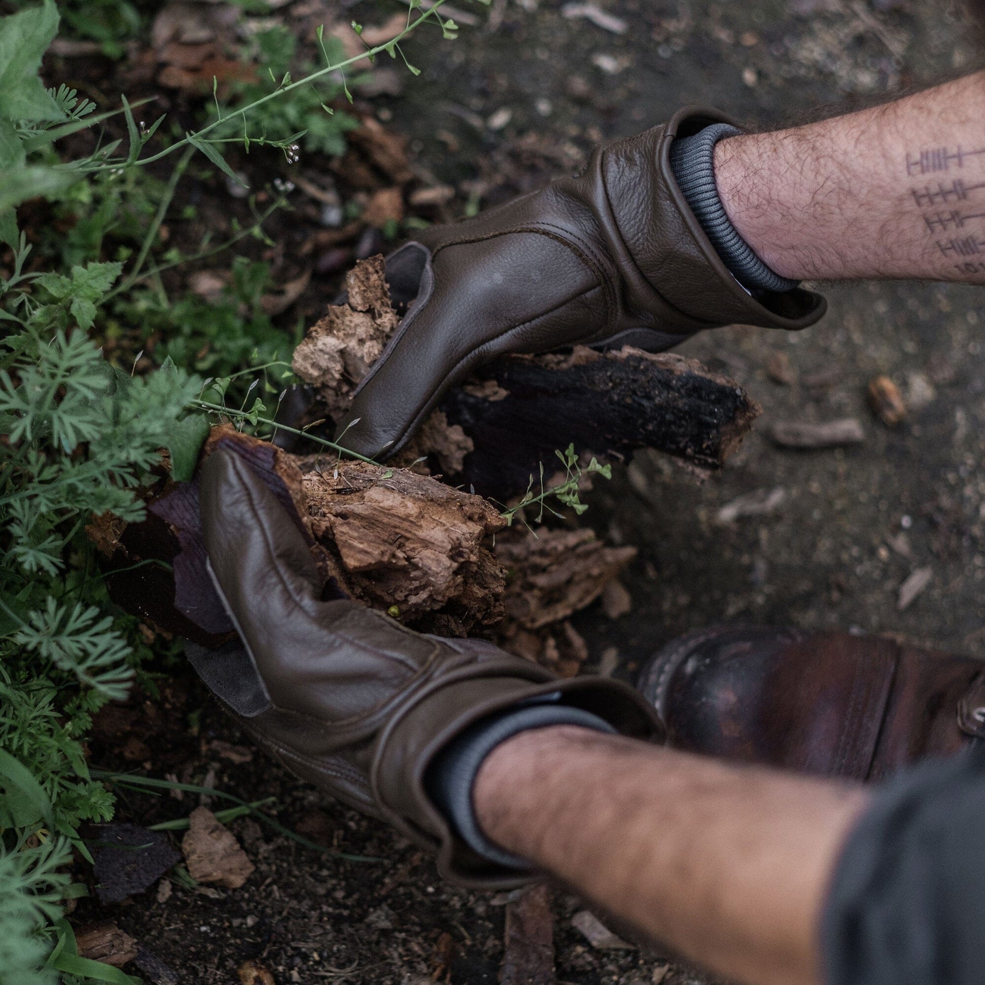 Kunar Utility Glove - Paranoid Ranch