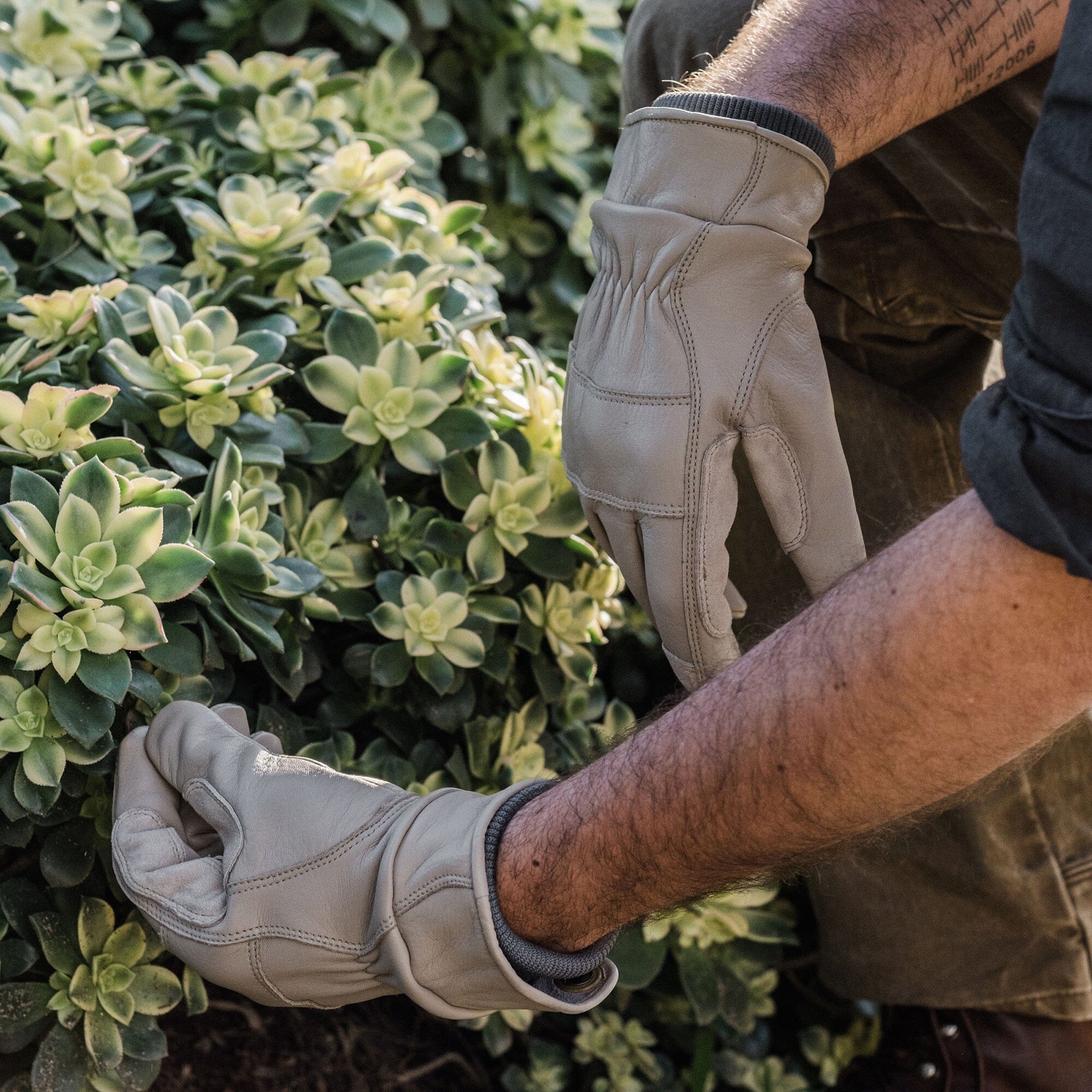 Kunar Utility Glove - Paranoid Ranch