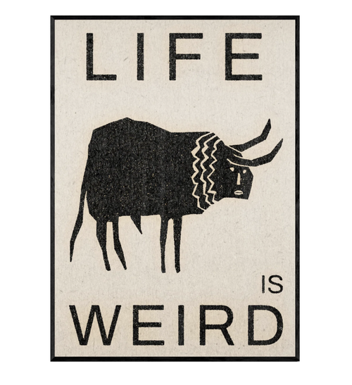 Poster with a bull illustration and 'Life is Weird' text on a beige background