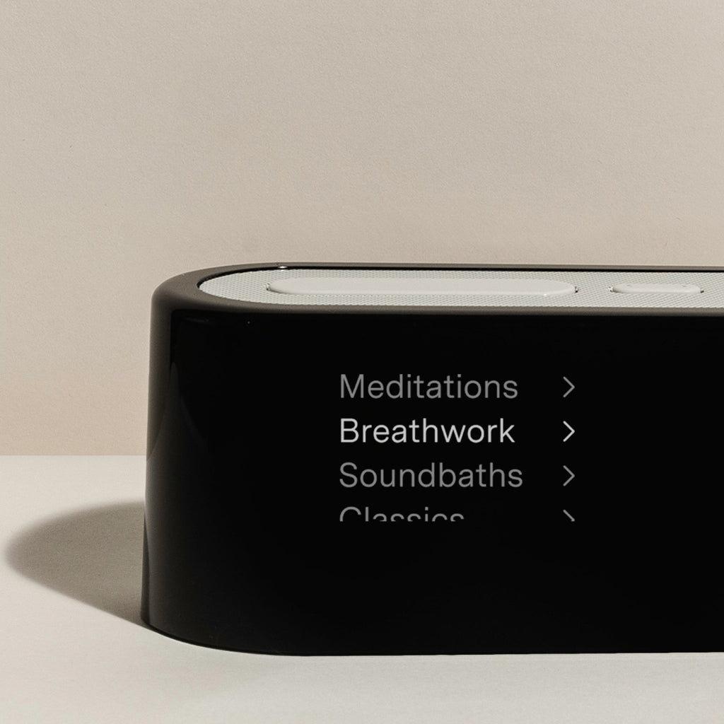 Loftie Clock - Paranoid Ranch