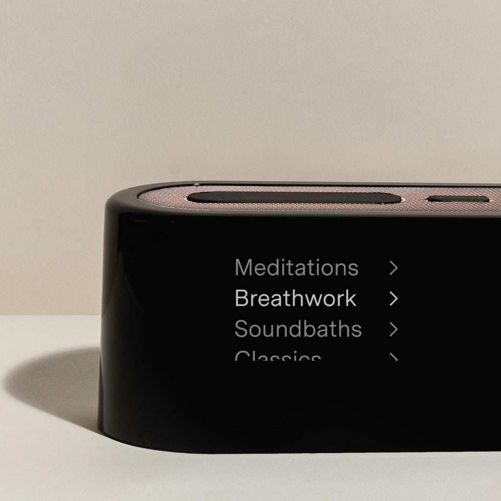 Loftie Clock - Paranoid Ranch