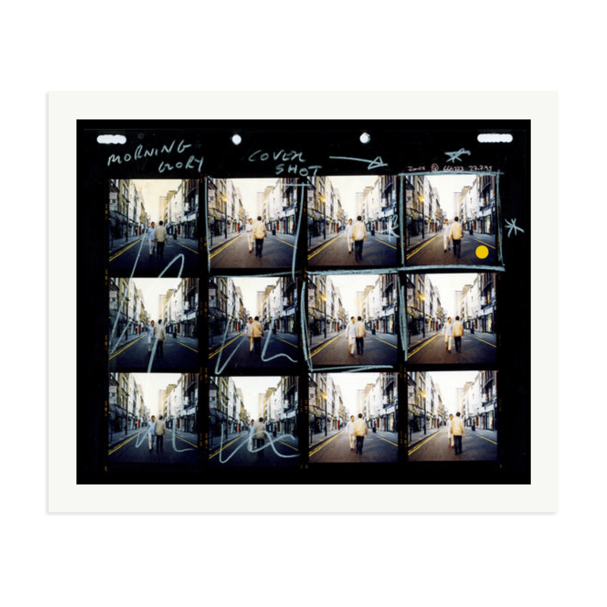 Morning Glory Contact Sheet - Paranoid Ranch