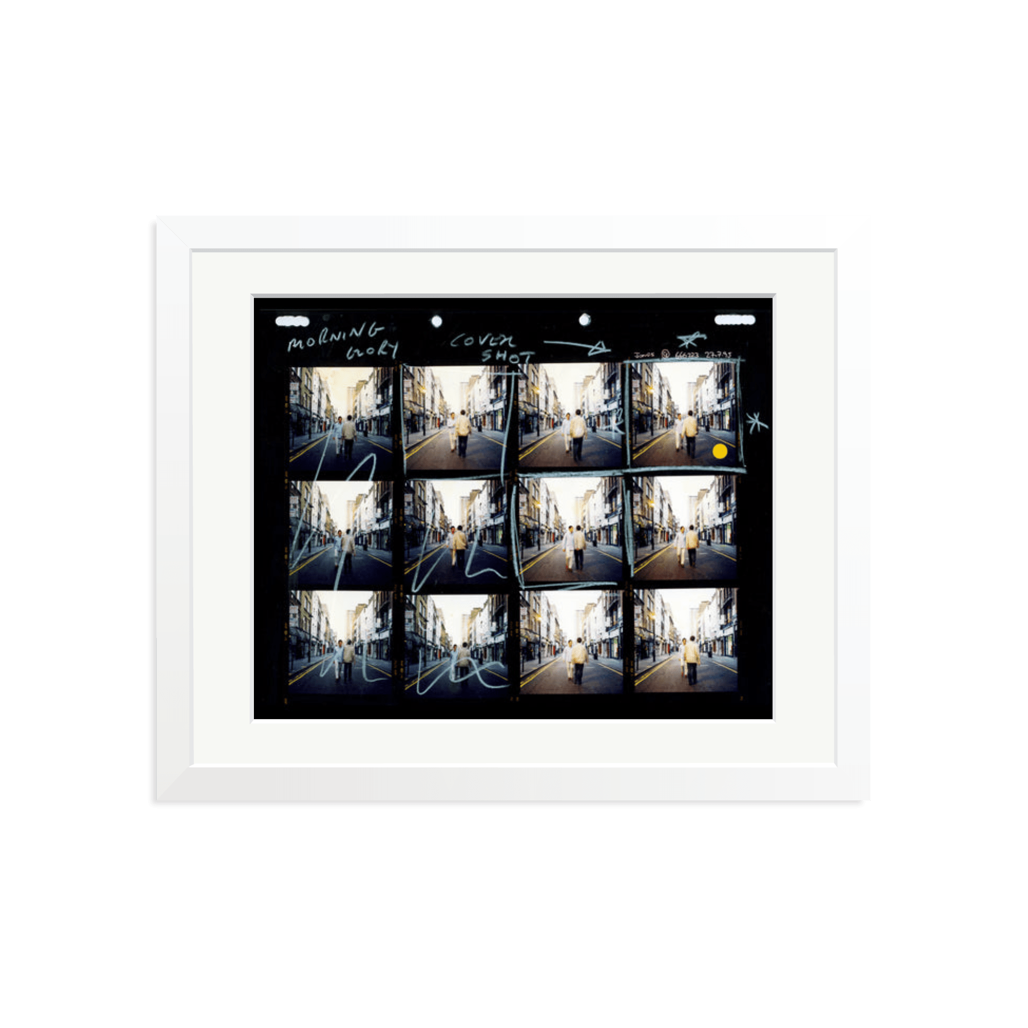 Morning Glory Contact Sheet - Paranoid Ranch