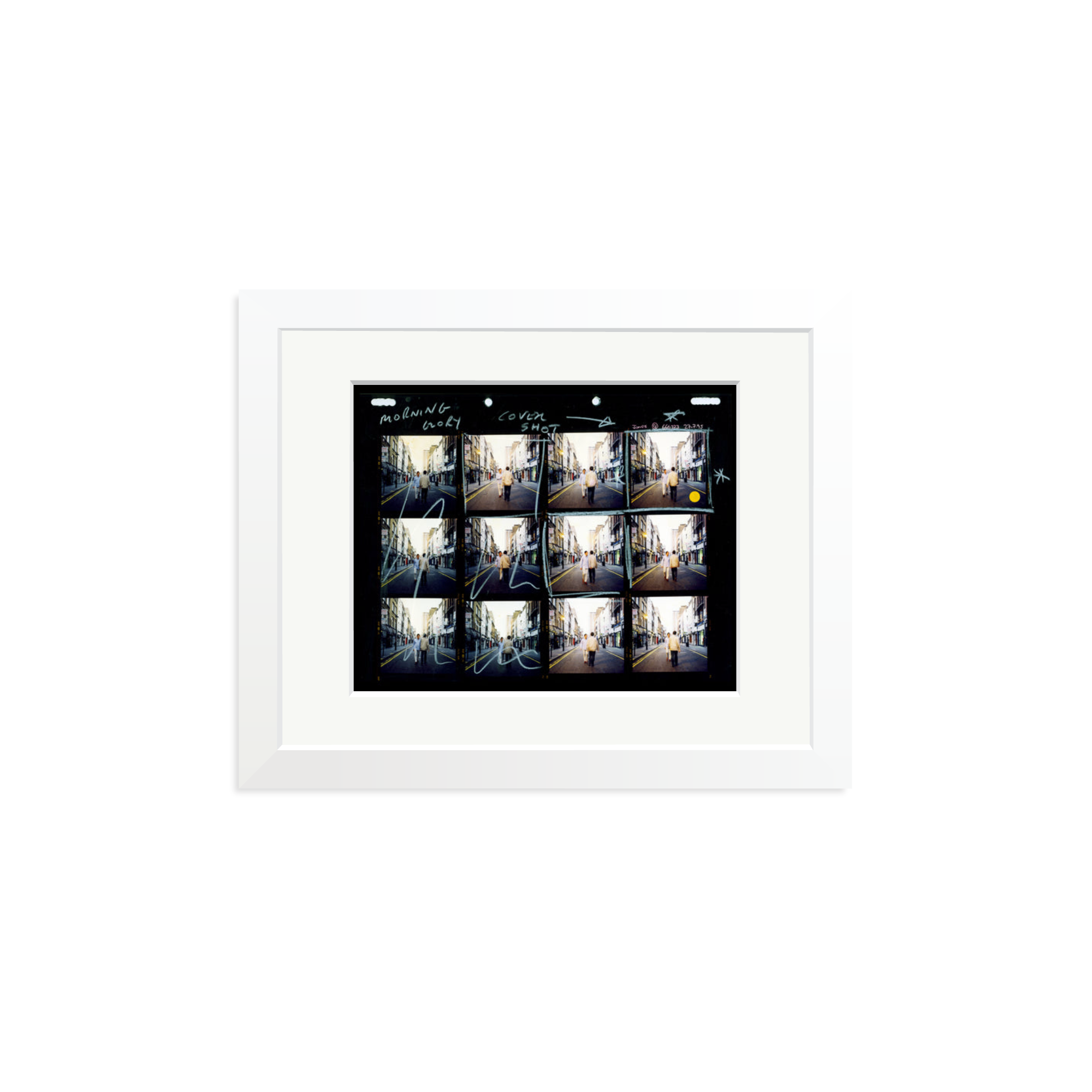 Morning Glory Contact Sheet