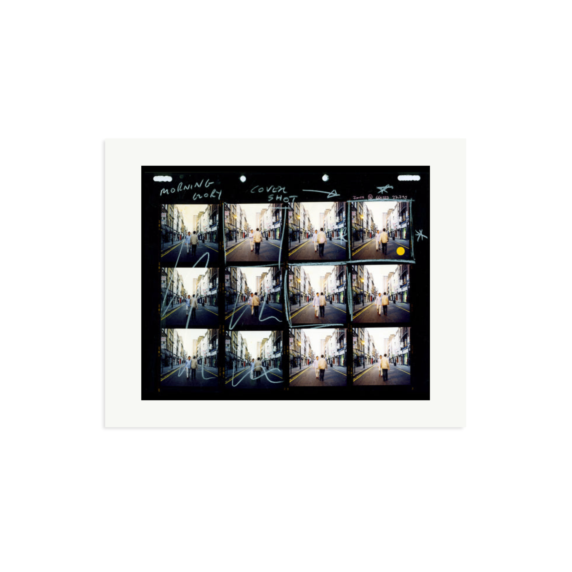 Morning Glory Contact Sheet