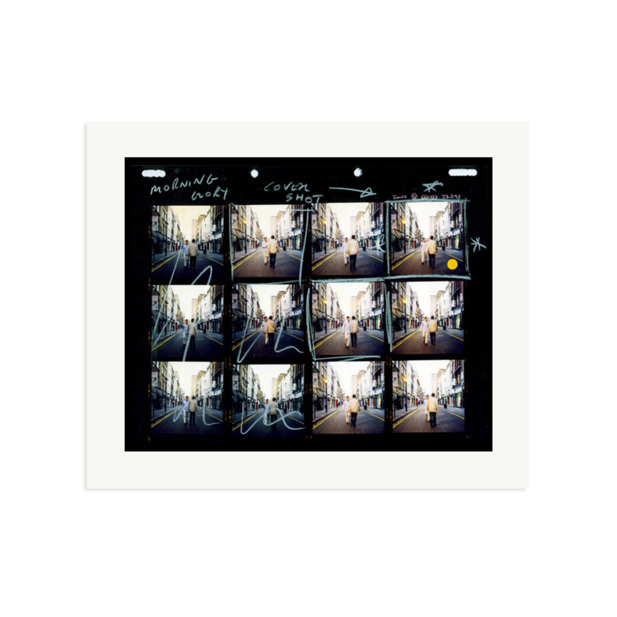 Morning Glory Contact Sheet