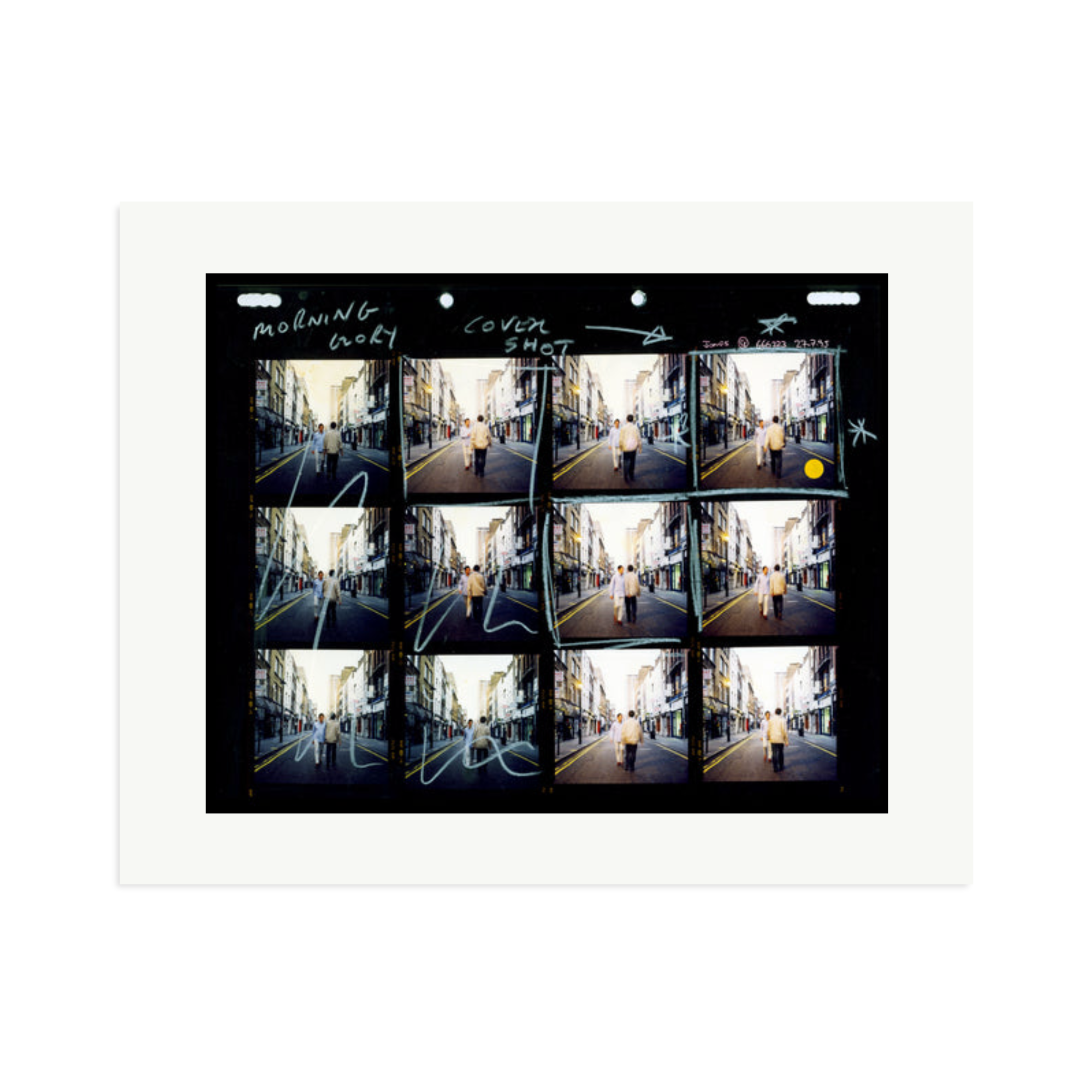 Morning Glory Contact Sheet