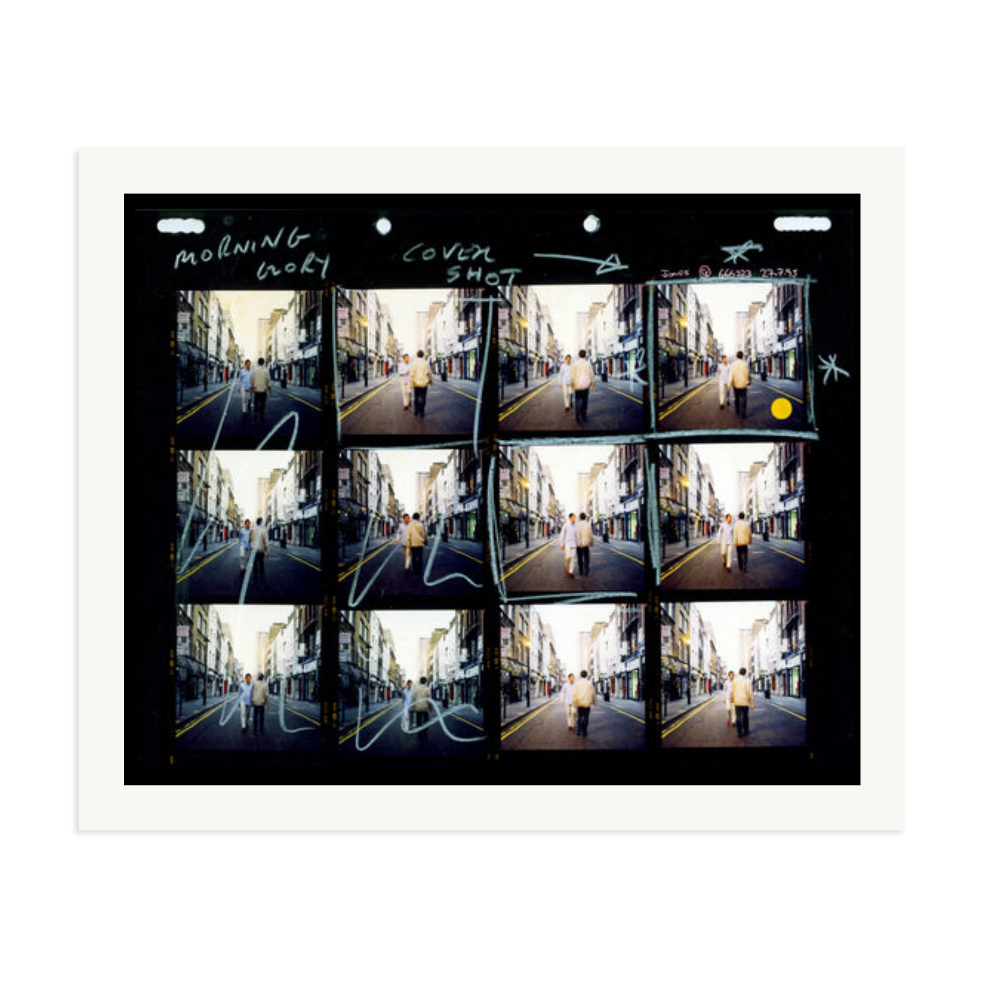 Morning Glory Contact Sheet