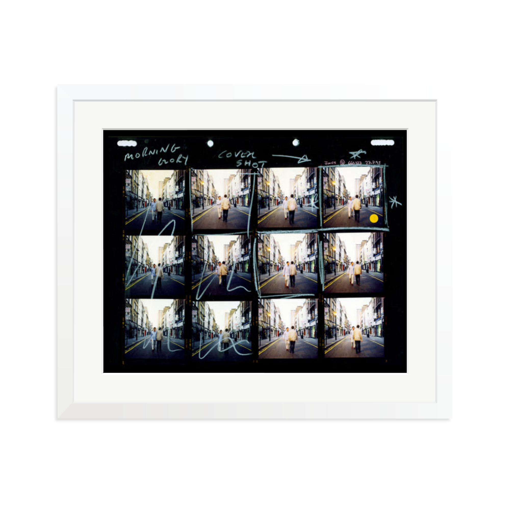 Morning Glory Contact Sheet