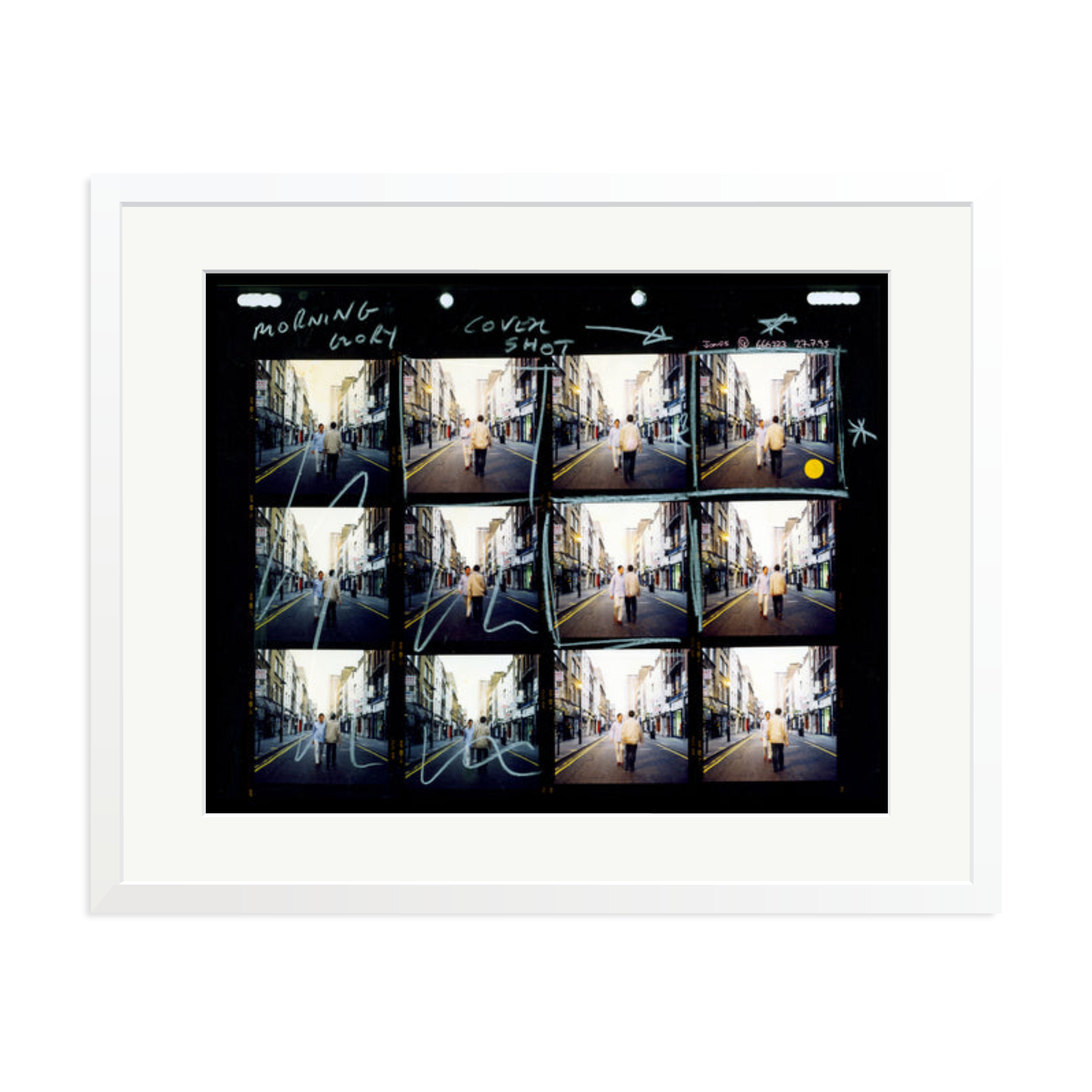 Morning Glory Contact Sheet