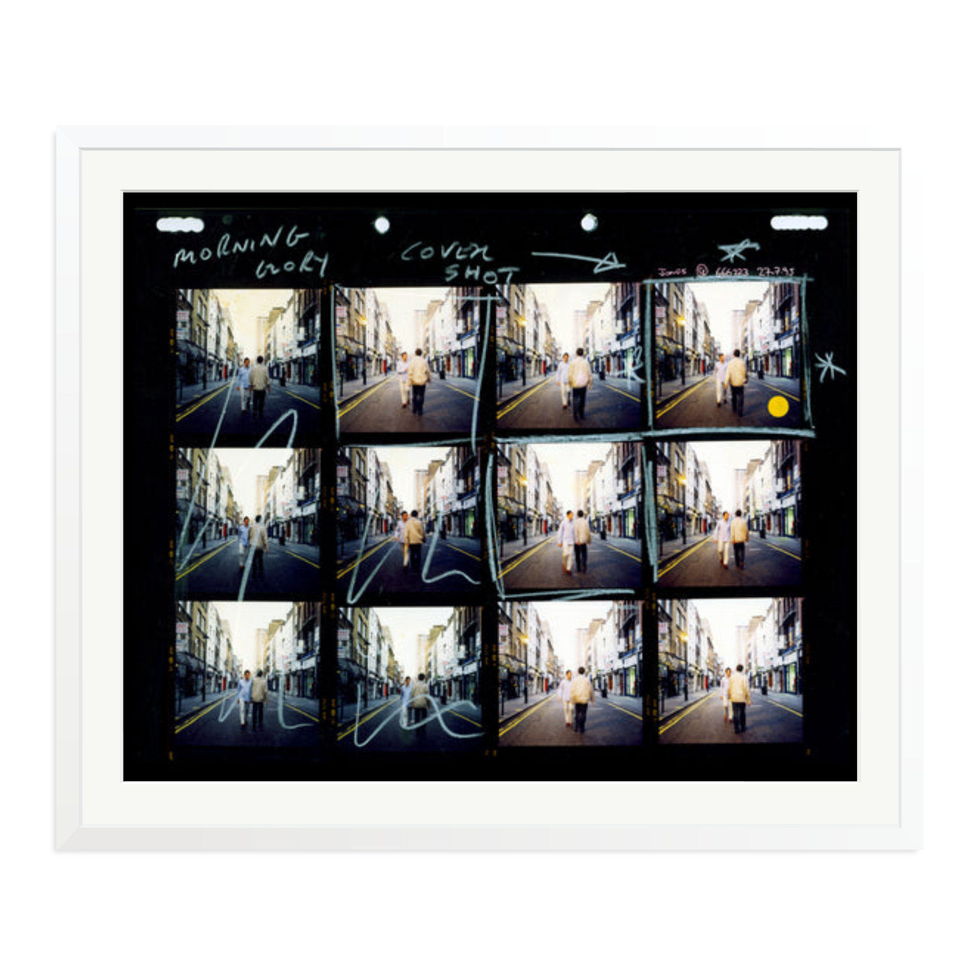 Morning Glory Contact Sheet