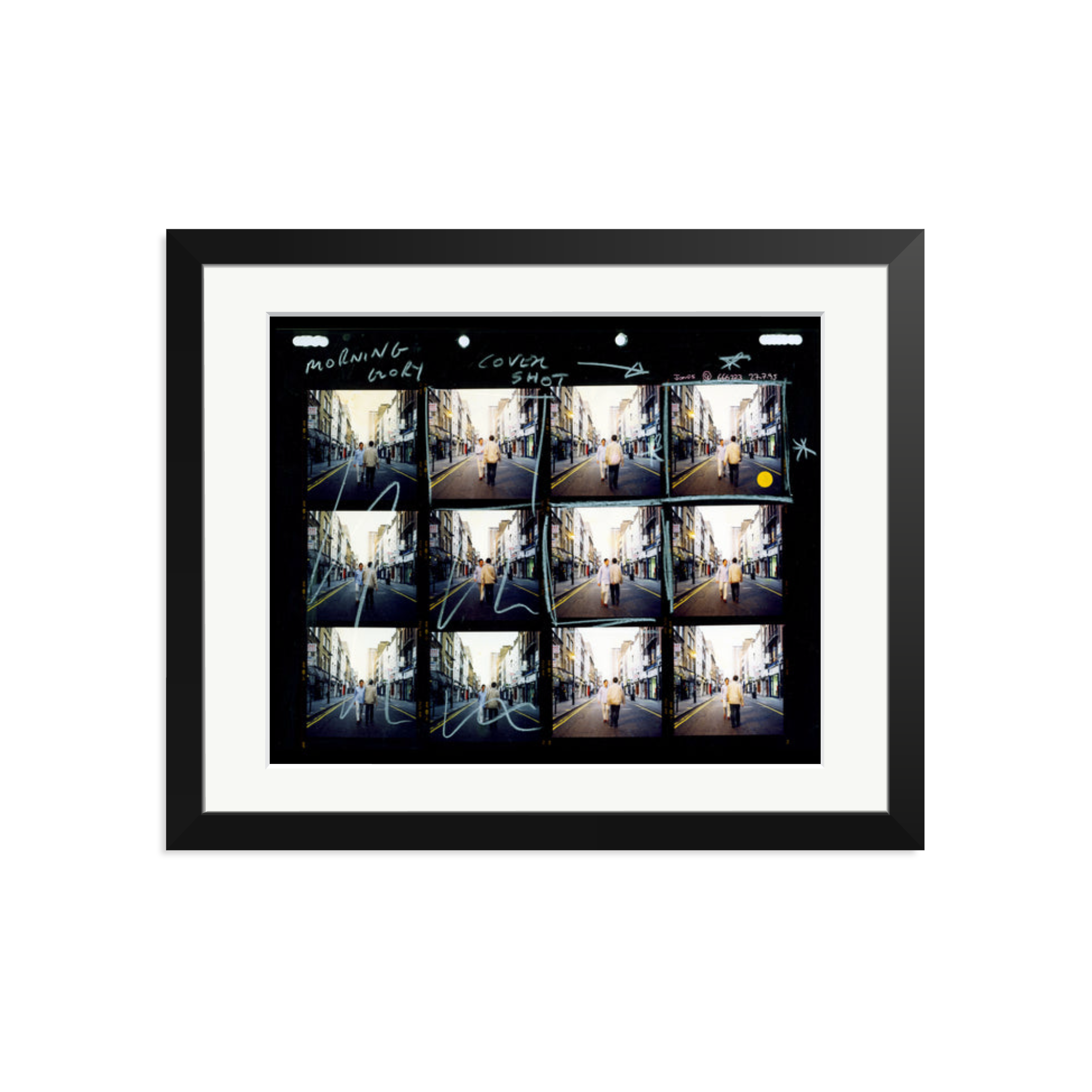 Morning Glory Contact Sheet