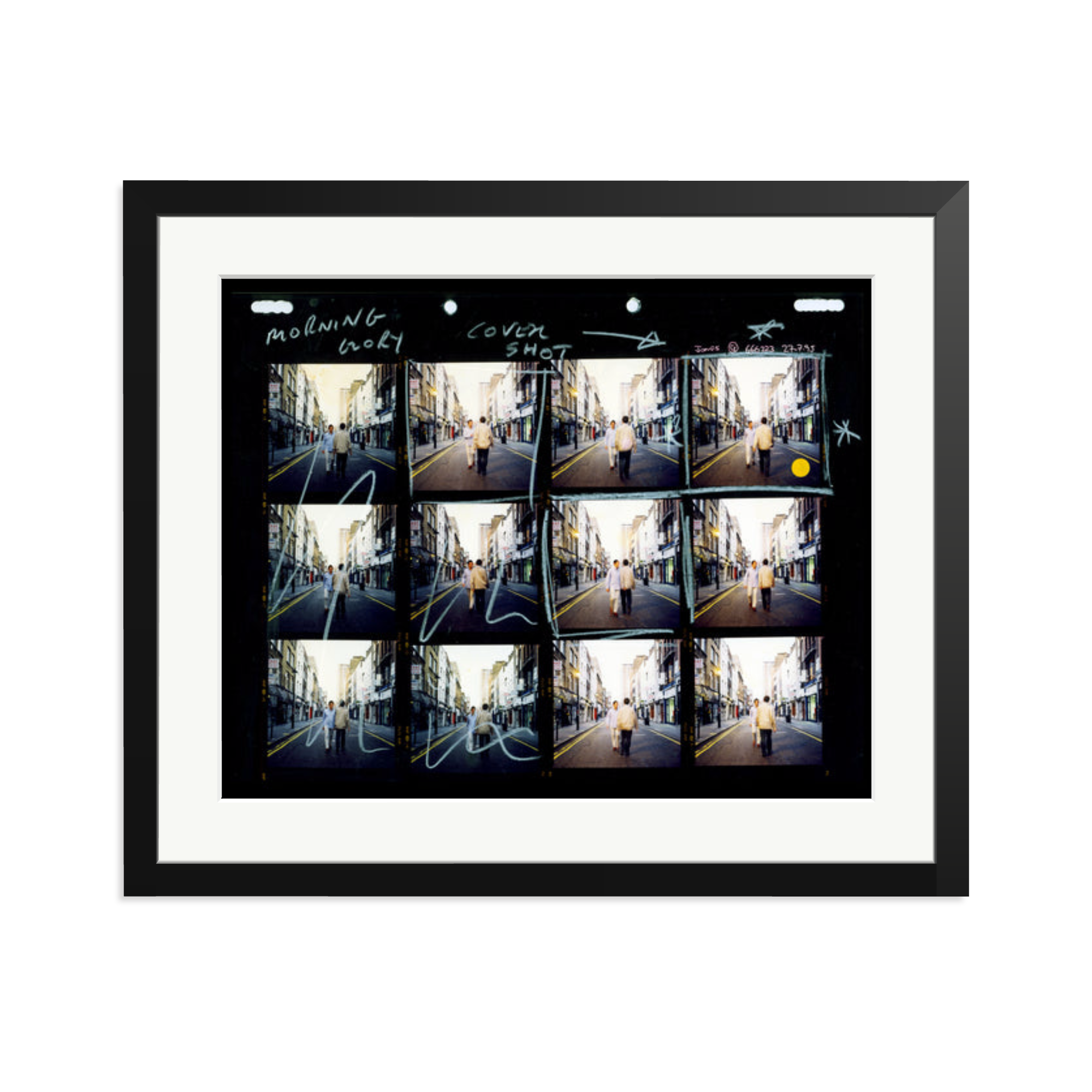 Morning Glory Contact Sheet