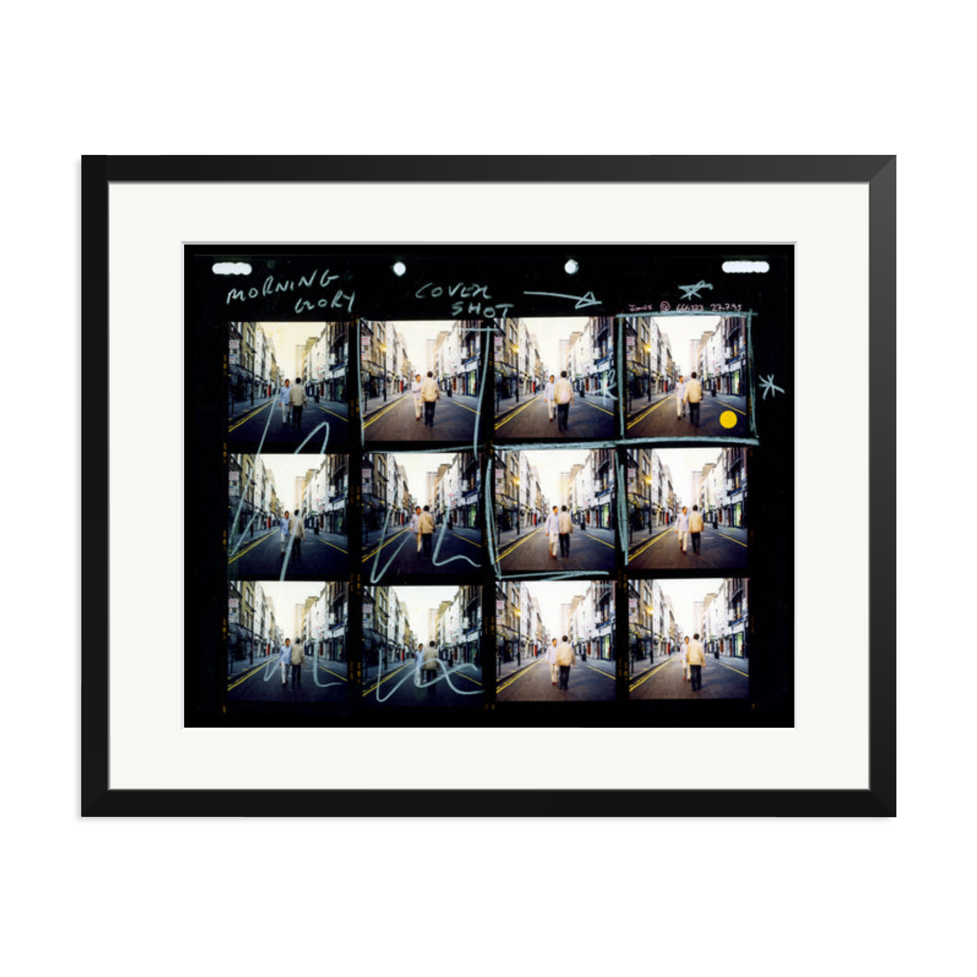 Morning Glory Contact Sheet