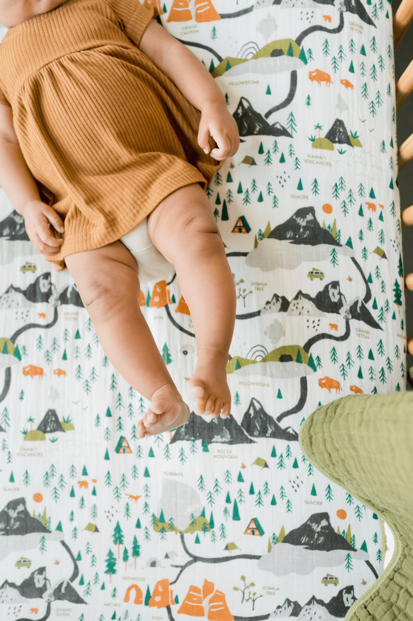 National Parks Crib Sheet - Paranoid Ranch