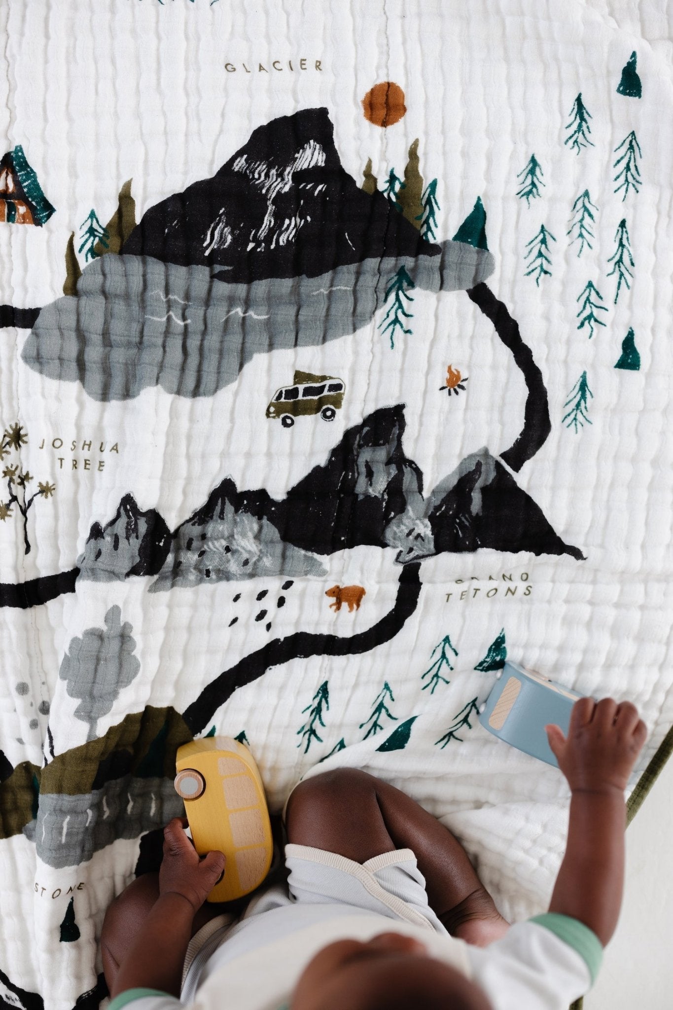 National Parks Quilt - Paranoid Ranch