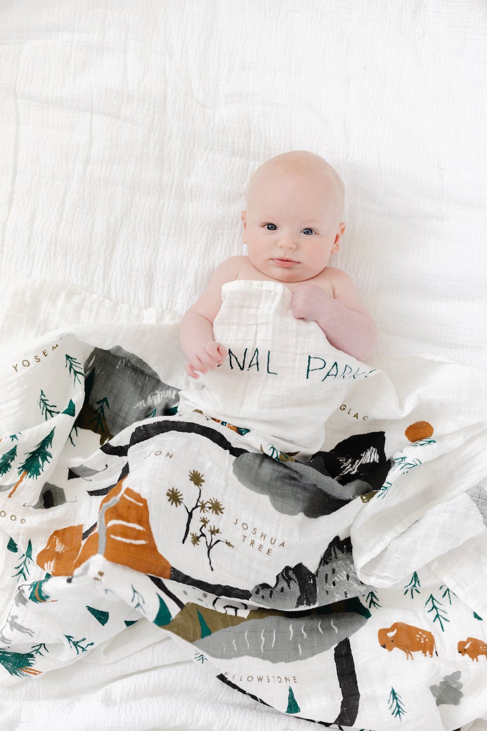 National Parks Swaddle - Paranoid Ranch