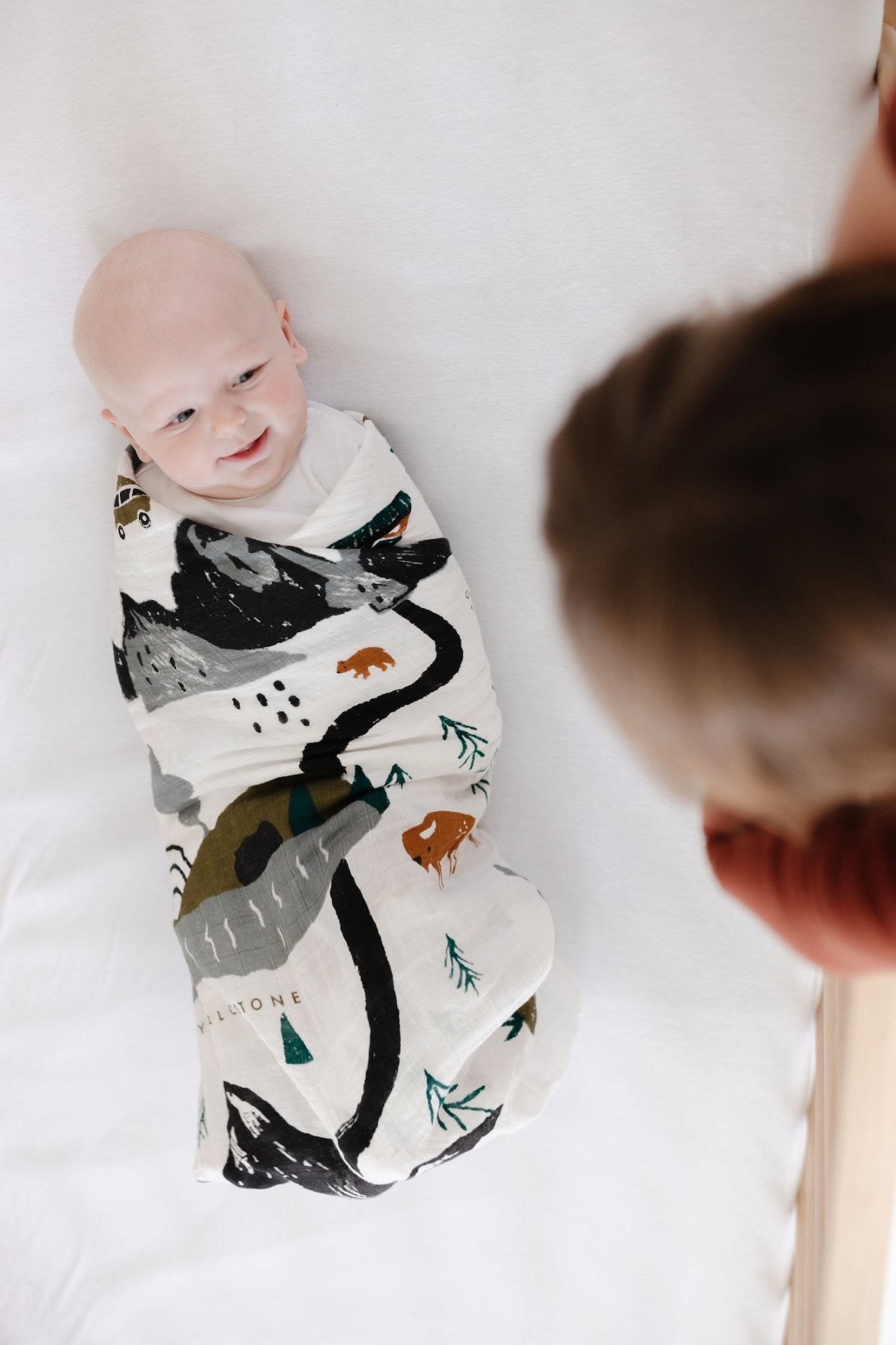National Parks Swaddle - Paranoid Ranch