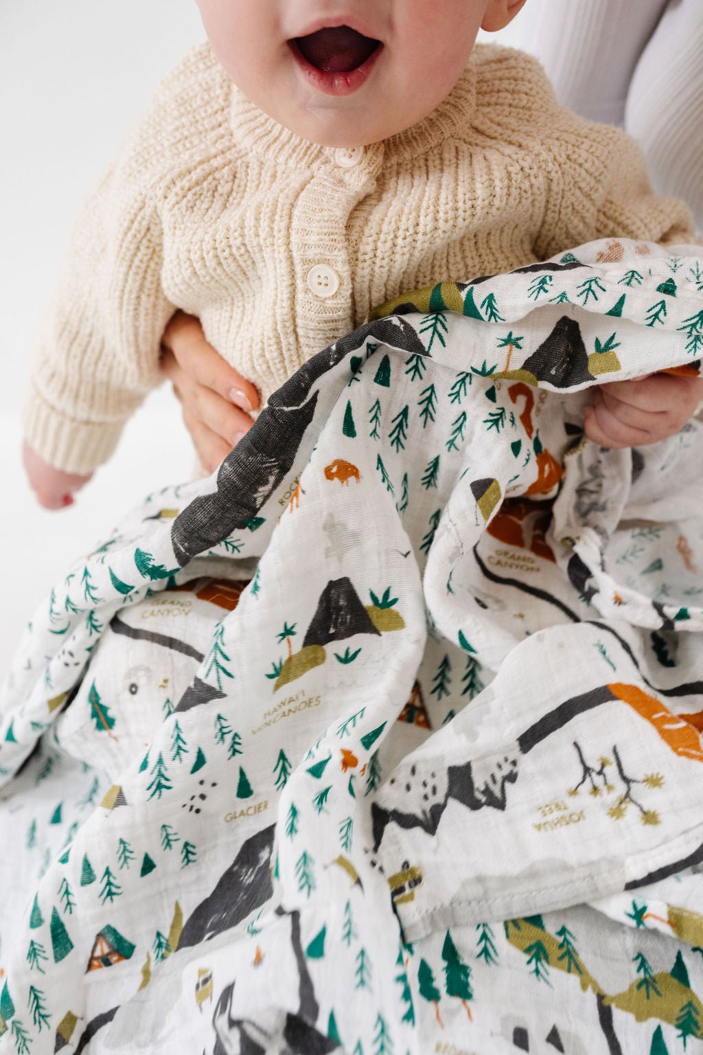 National Parks Swaddle (Mini Pattern) - Paranoid Ranch