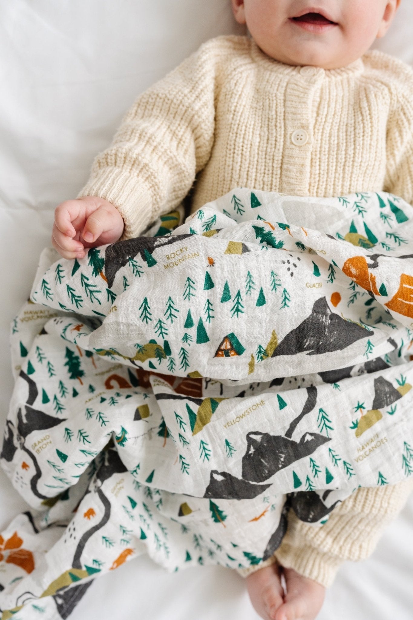 National Parks Swaddle (Mini Pattern) - Paranoid Ranch