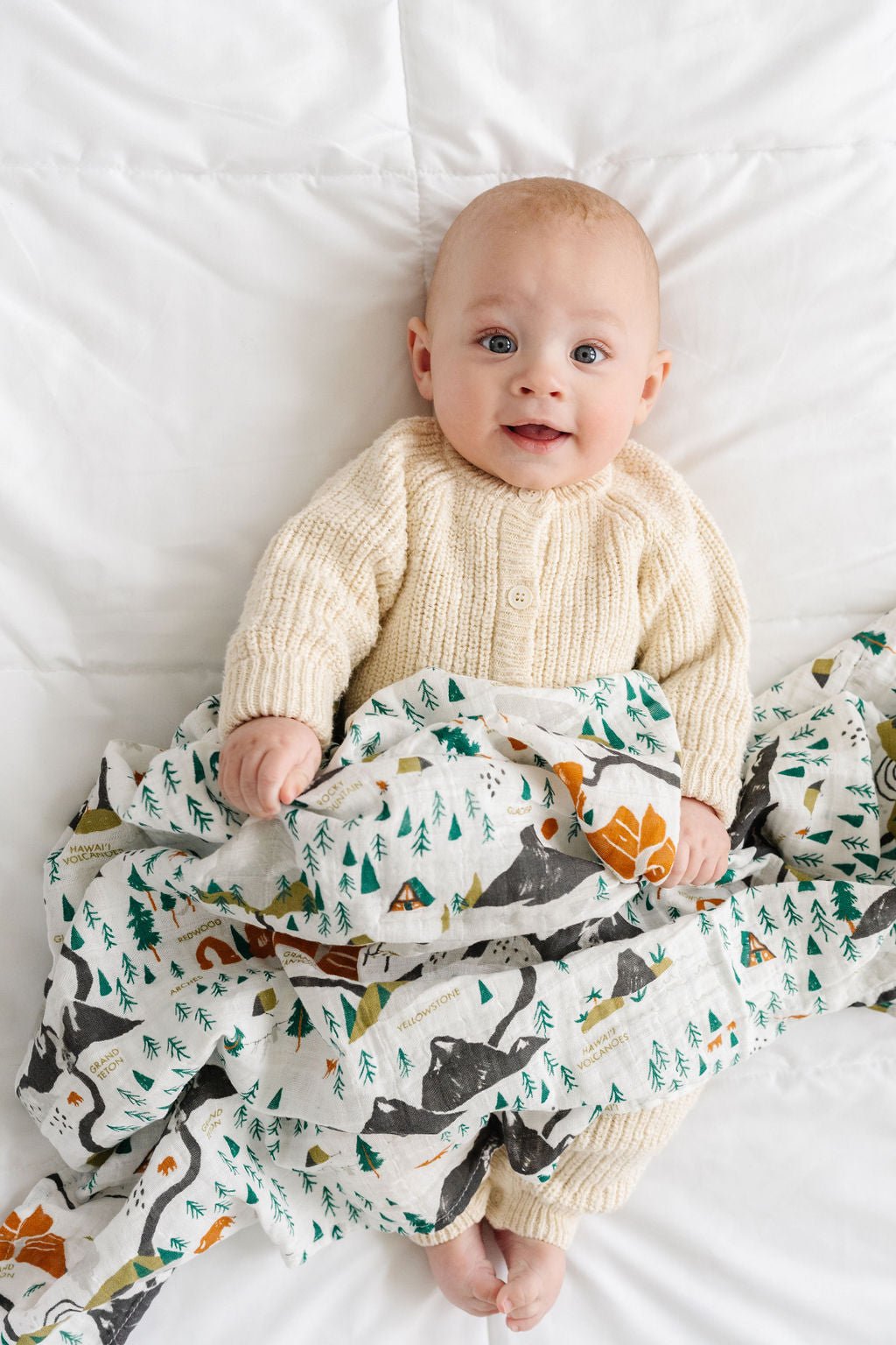 National Parks Swaddle (Mini Pattern) - Paranoid Ranch