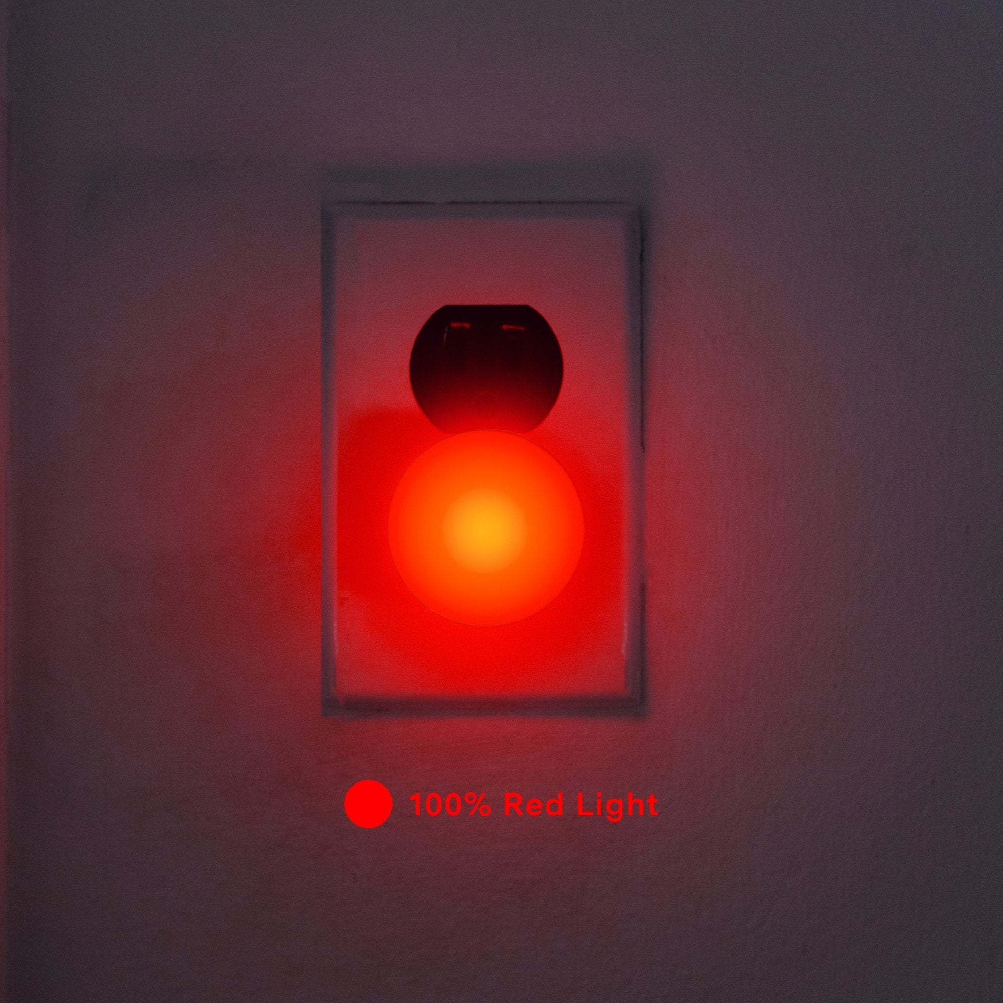 Night Lights - Paranoid Ranch