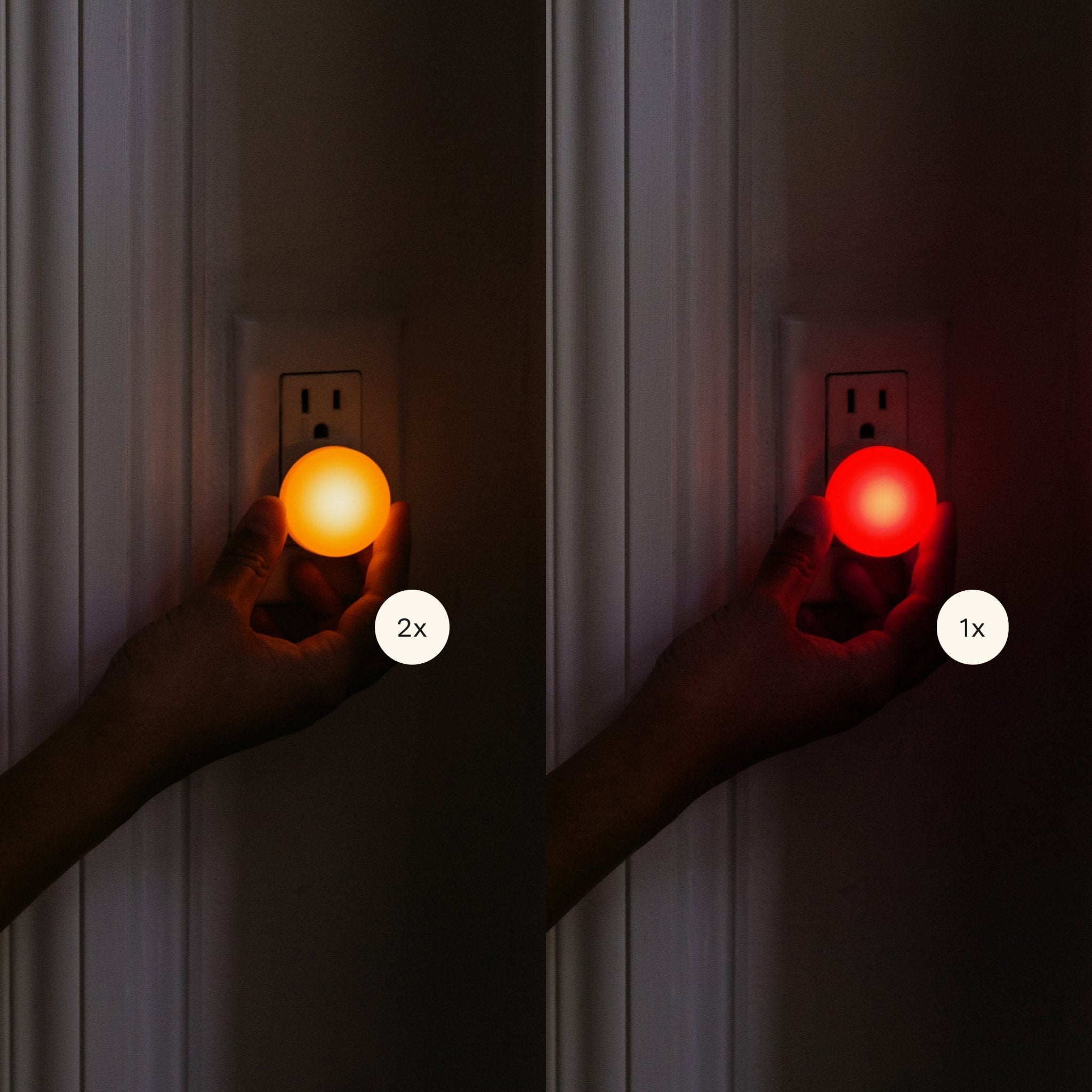 Night Lights - Paranoid Ranch