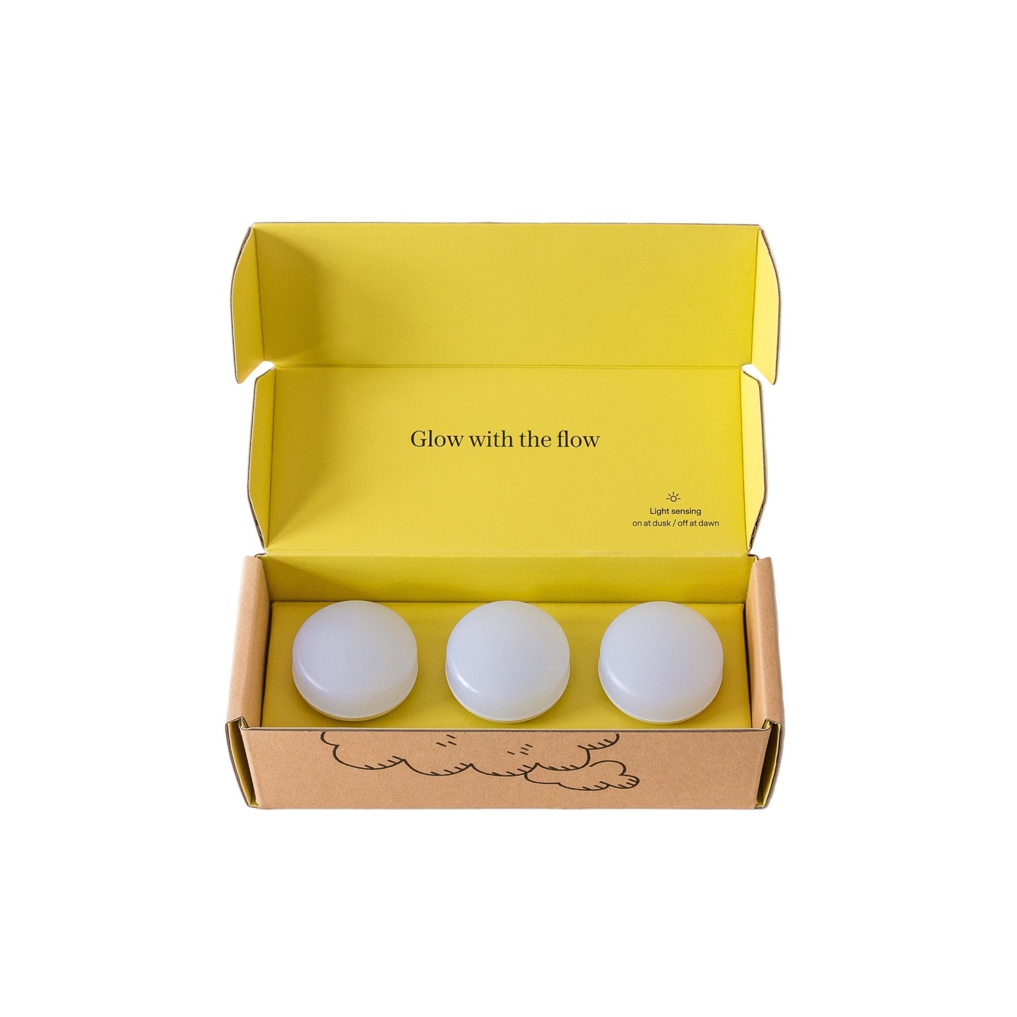 Night Lights - Paranoid Ranch