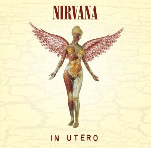 Nirvana - In Utero - Paranoid Ranch