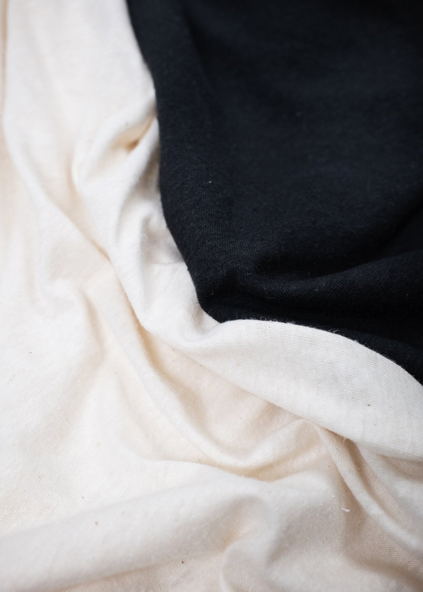 Organic Hemp Tee - Paranoid Ranch